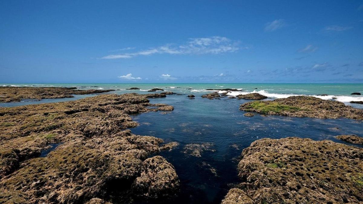 Abaetetuba Pousada São Miguel dos Milagres Exteriör bild