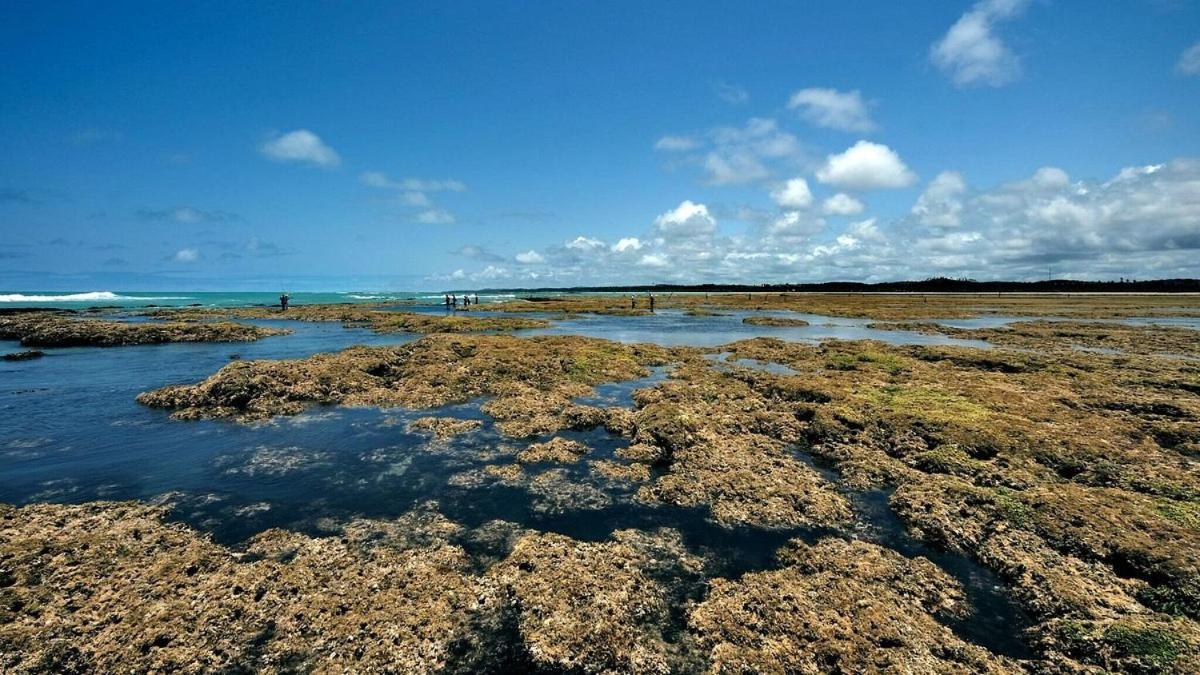 Abaetetuba Pousada São Miguel dos Milagres Exteriör bild